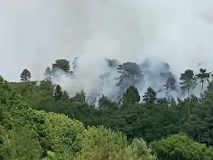 Supporting image for story: Preparations underway to combat wildfires in Worcestershire during heatwave 