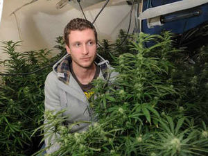 Supporting image for story: Cannabis factory on new housing estate