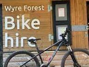 Supporting image for story: Firm that ran bike hire at the Wyre Forest closes down
