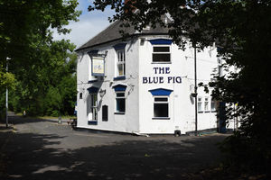 The Blue Pig. Photo: Toby Neal