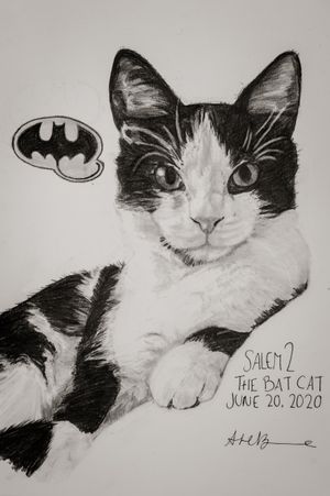 One of Amanda's creations