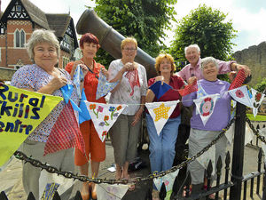 Supporting image for story: Bunting goes up for Ludlow in Bloom
