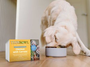 Supporting image for story: Pet food business launches frozen meals through Ocado