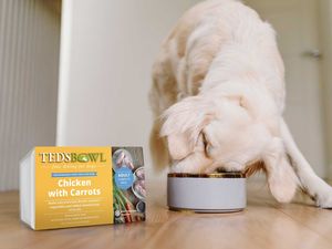 Supporting image for story: Pet food business launches frozen meals through Ocado