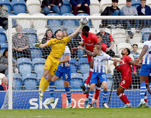 Supporting image for story