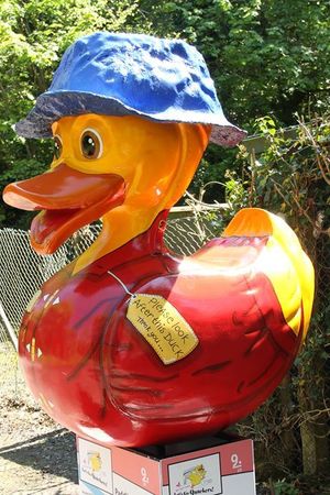 The giant ducks in Ironbridge. Photos: Shaun Dean