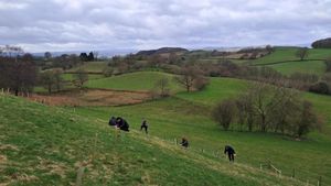 Volunteers from SuperByte helped plant around 400 trees as part of the Severn Rivers Trust work with the SVWMS. Picture: Shropshire Council.