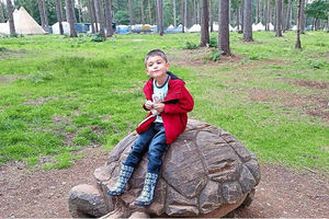 Supporting image for story: What it's like to... Give blood