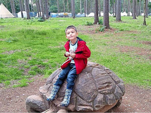 Supporting image for story: What it's like to... Give blood