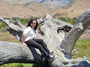 Supporting image for story: Innovative therapy gives hope to patients whose blood cancer ‘seemed incurable’