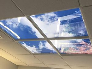 Supporting image for story: Peaceful ceiling scenes soothing Telford hospital patients