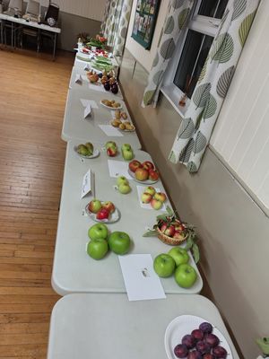 Fruit and vegetable display