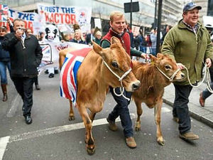 Supporting image for story: Campaigning farmers planning second London march