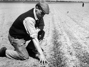Supporting image for story: Pictures From The Past – February 8