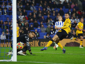 Supporting image for story: Brighton 0 Wolves 1 - Report 