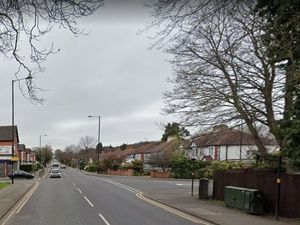 Supporting image for story: Victory in campaign to stop Sutton Coldfield 'monster mast' 