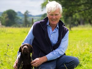 Supporting image for story: Truffles gets her organic lunch