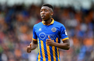 Former Shrewsbury Town man Ebou Adams now features for Forest Green Rovers (AMA)