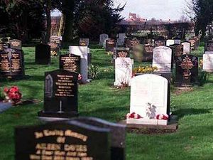 Supporting image for story: Letter: Don't shield young children from the reality of death