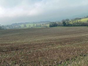 Supporting image for story: Bids invited for blocks of South Shropshire arable and pasture land 