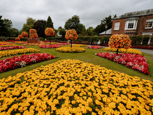 Supporting image for story: Sweet smell of success for blooming great volunteers in Oswestry