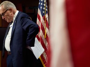 Supporting image for story: Vote to end US government shutdown fails in Senate