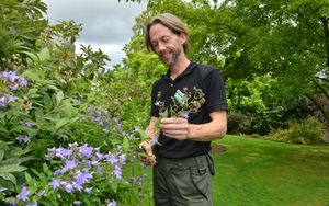 Supporting image for story: 'Our flag is our national symbol for Great Britain, like any other country it should be flown with pride' - Your Letters: September 5