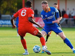 Supporting image for story: Shrewsbury keep keen eye on loaned out striking duo - as Matt Taylor discusses recalls