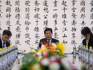 Supporting image for story: More countries should endorse Ukraine peace plan, China says