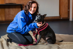 It will cost the RSPCA more than £56,000 to run the centres and hospitals on Christmas Day alone and more than £1.5 million pounds to keep them running throughout December