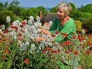 Supporting image for story: Shropshire business blossoms from seed of an idea