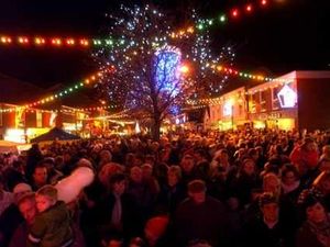 Supporting image for story: Shifnal Christmas lights will go up