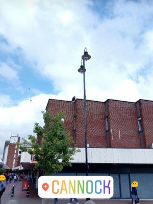 Supporting image for story