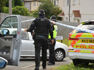 Supporting image for story: Man pleads guilty to having BB gun after incident that sparked Pensnett evacuation