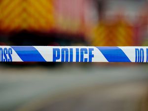 Supporting image for story: Elderly woman dies after being struck by delivery van