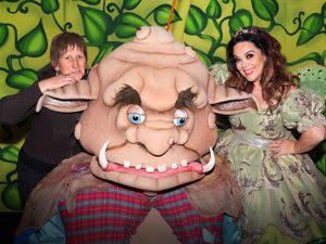 Supporting image for story: Top pantomimes and Christmas shows in the Midlands and Shropshire