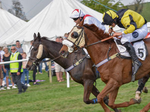Supporting image for story: Shropshire Point-to-Point event set for first race in two years