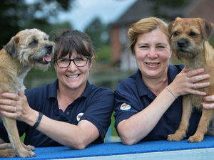 Supporting image for story: Heel! Market Drayton dog trainer talks new canine career