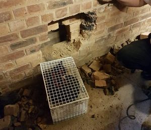 Where the cat was found. Photos:@TechRescueWMFS