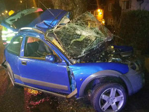 Supporting image for story: IN PICTURES and VIDEO: Driver arrested after car smashes into tree in Bloxwich