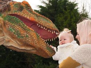 Supporting image for story: Dinosaur event at Bilston gallery