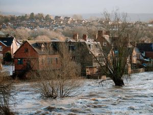 Supporting image for story: Woodland planting planned in bid to stop Shropshire river flooding