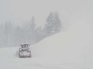 Supporting image for story: Eight skiers found dead and one still missing after California avalanche
