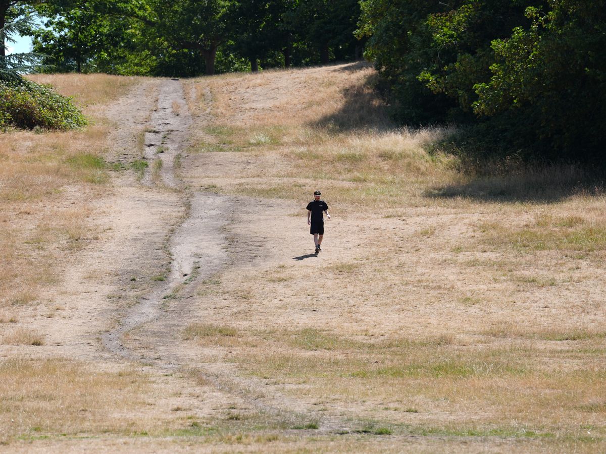 At least 1,147 people died from climate-driven heat in UK this summer including 14 in Wolverhampton, scientists find