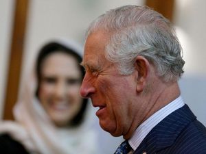 Supporting image for story