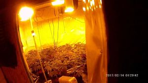 Behind the false walls