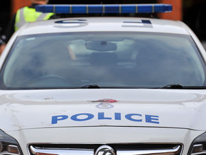 Supporting image for story: Cannock man arrested after cops discover more than 180 cannabis plants and several weapons