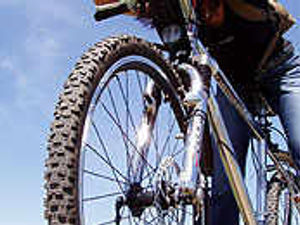 Supporting image for story: BMX track a waste of our money