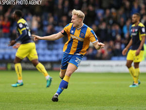 Supporting image for story: Bernard McNally: Nothing to fear for Paul Hurst's in-form Shrewsbury side