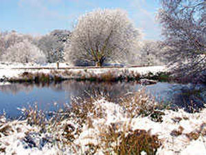 Supporting image for story: More of your snow photos